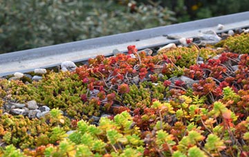 the cost of Isbister green roof installation