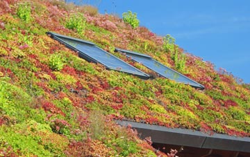 Isbister living roof systems