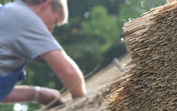 professional Isbister thatchers