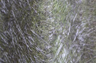 Isbister fibreglass roof work